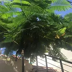 Villa Casa Flamboyant *