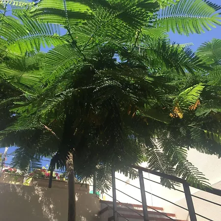 Vila Casa Flamboyant *