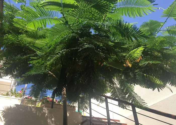 Willa Casa Flamboyant *